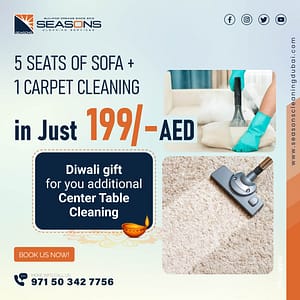 Sofa and Carpet Cleaning Services