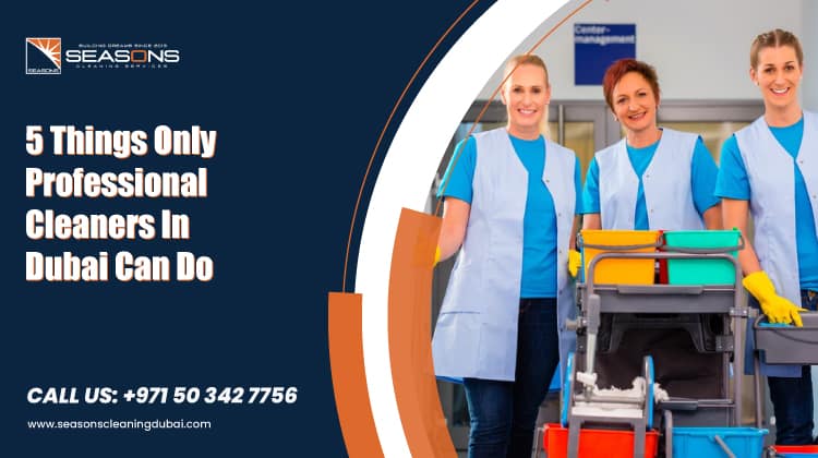5 Things Only Professional Cleaners In Dubai Can Do